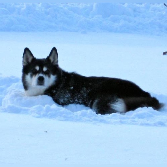 Meet your Posher, Lynn - Picture 6 of 10